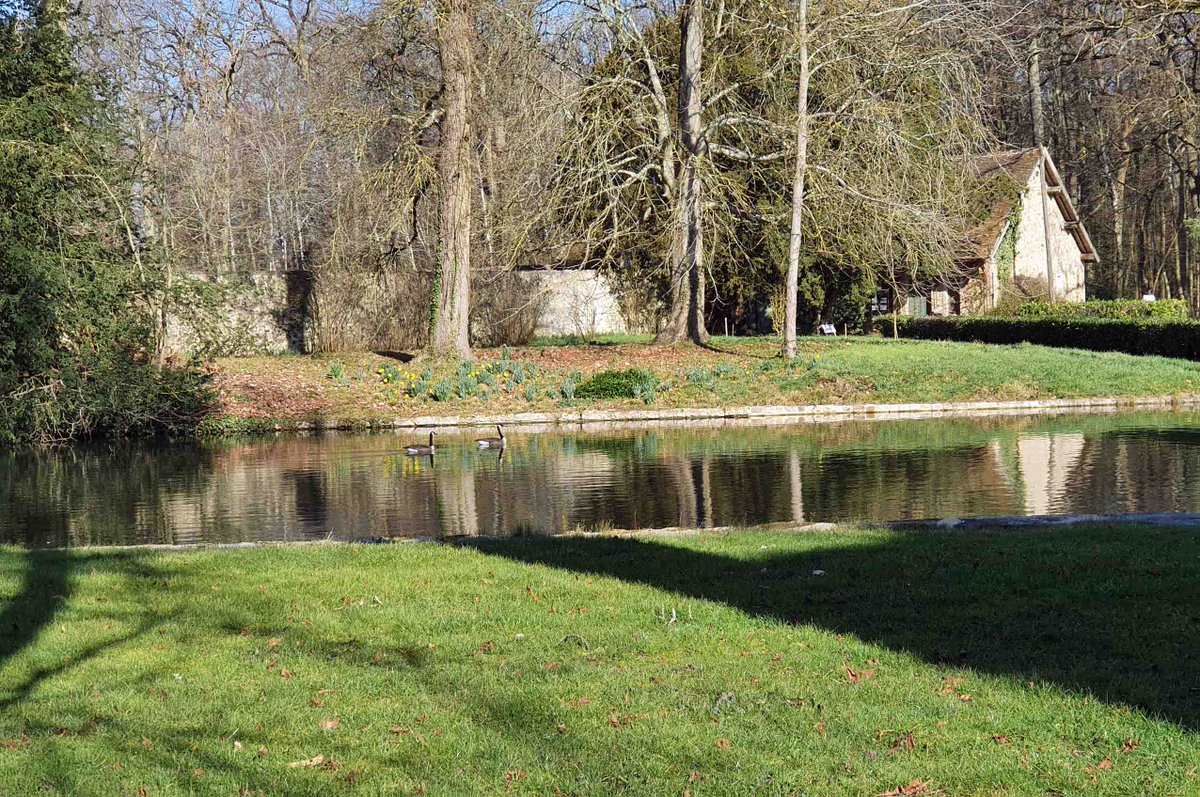 ChateauSJB's tweet photo. #ANIMAUX
Beaucoup de visiteurs se sont invités sur le Domaine ces dernières semaines. Aigrette, oies sauvages, perruches et brebis profitent du calme hivernal et s'approprient les lieux avant l'arrivée des touristes. Et nous, chanceux , profitons de leur aimable présence. https://t.co/mQhP4tL0q9