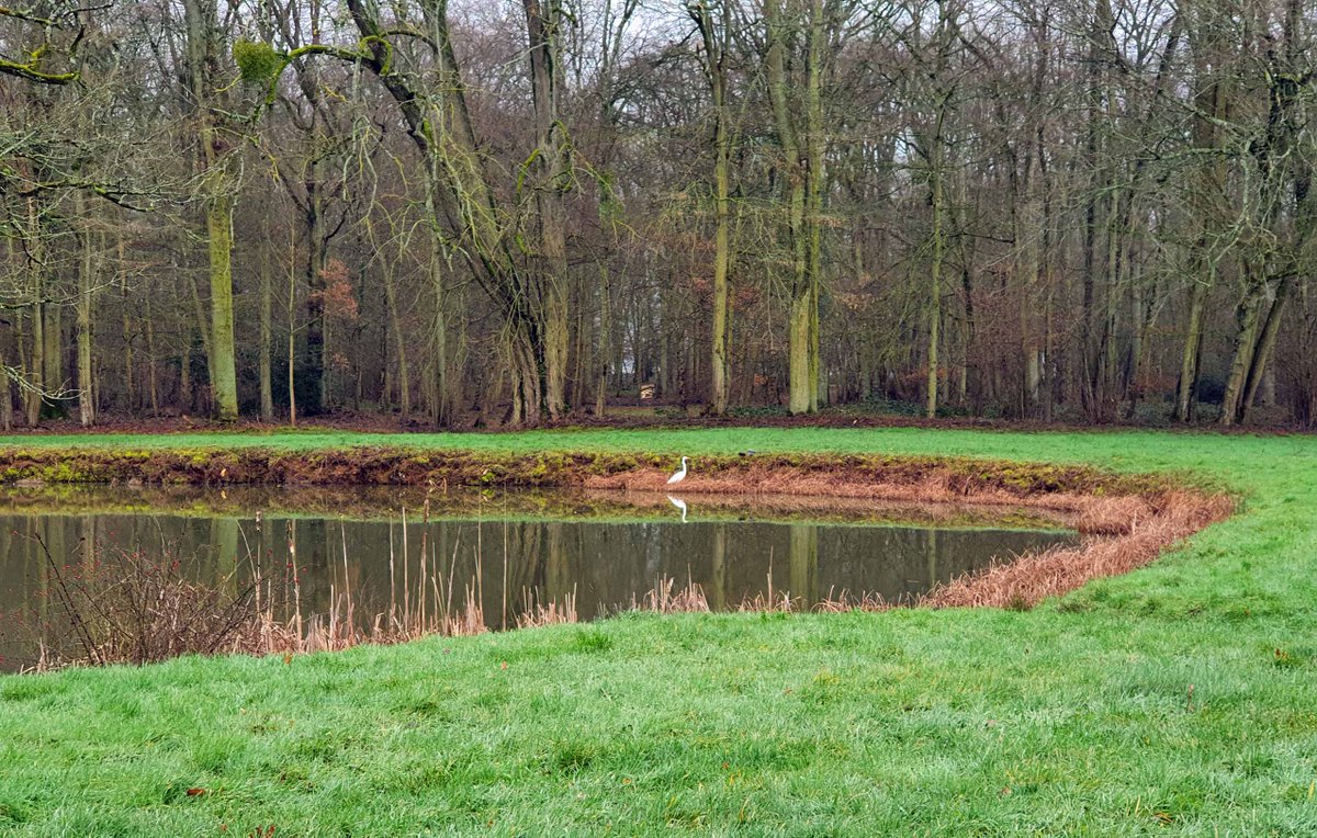 ChateauSJB's tweet photo. #ANIMAUX
Beaucoup de visiteurs se sont invités sur le Domaine ces dernières semaines. Aigrette, oies sauvages, perruches et brebis profitent du calme hivernal et s'approprient les lieux avant l'arrivée des touristes. Et nous, chanceux , profitons de leur aimable présence. https://t.co/mQhP4tL0q9