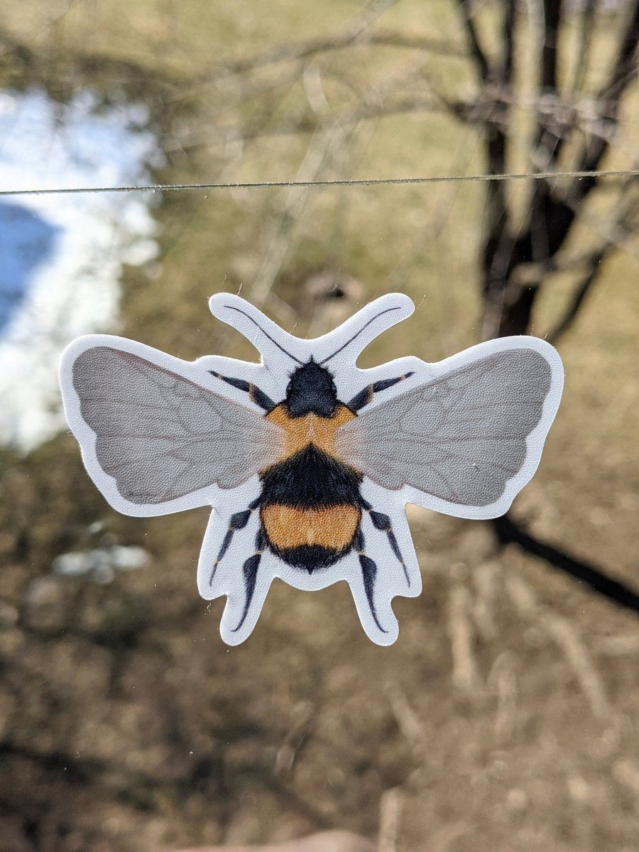 ChloeWillemsen's tweet photo. 3 styles of stickers now available on my website! Support a small artist and get yourself a cute sticker 💕💕 https://t.co/nMejnCSEHe