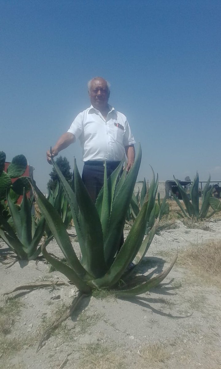 Meche092's tweet photo. #Lauro Ramírez en Curso de traspatio de nopal, maguey y Zarzamora en junta auxiliar de San Lorenzo Almecatla.😀 https://t.co/Th5ExA6bPm