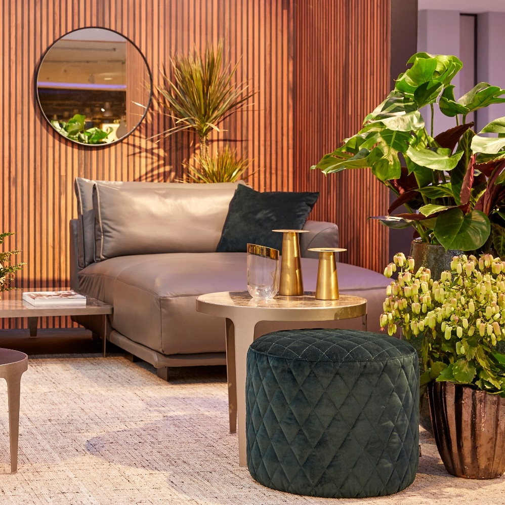 It's the weekend!💫
#AlwaysKalanchoe #Kalanchoe #woestijnroos #AltijdKleurrijk #altijdMakkelijk #alwayscolourful #easycare #AltijdGezellig #vetplant #vetplantmetbloemen #potbloeier