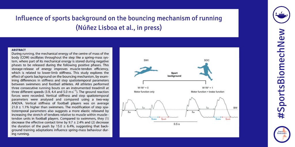sportsbiomechj's tweet photo. Influence of sports background on the bouncing mechanism (stiffness and spatiotemporal parameters) of the running step

https://t.co/Gh9yuymV3U

#SportsBiomechNew by @MarioNu01, @LPENAILILLO, Cancino, @ZbindenFoncea &amp; @dewolf_arthur https://t.co/dp3Pq93gFh