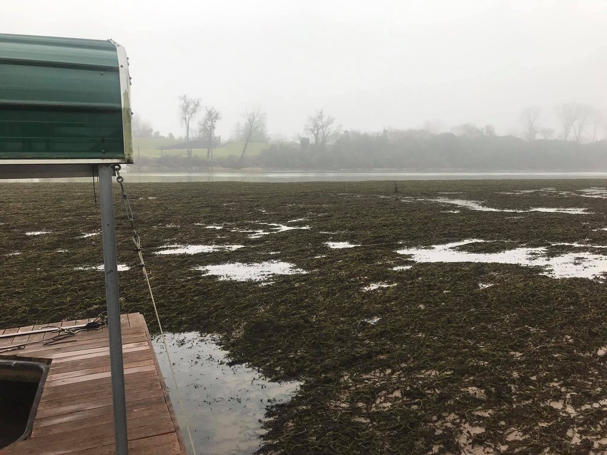 NoSplost's tweet image. Zip lines across mud banks? #VoteNOonSPLOST8