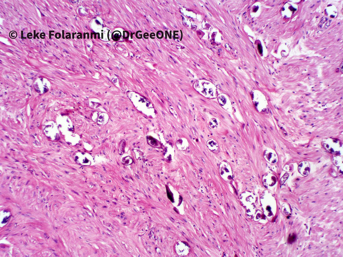 Olaleke Folaranmi tweet media