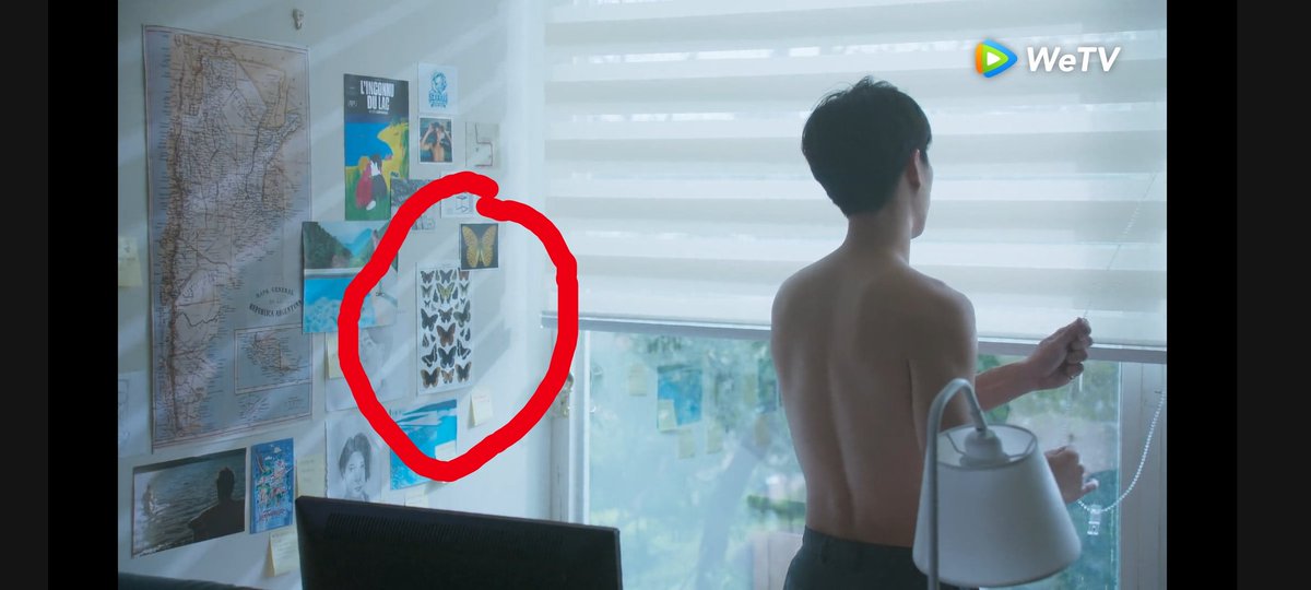 Kurarisu Fightingmr2nd Noticed The Butterflies In Gsd S Home And Office Wonder If It Has Significance To Deyi 蝶々よく出たね Deyi には何か特別な意味でもあるか楽しみです T Co 3qxb3ard3p
