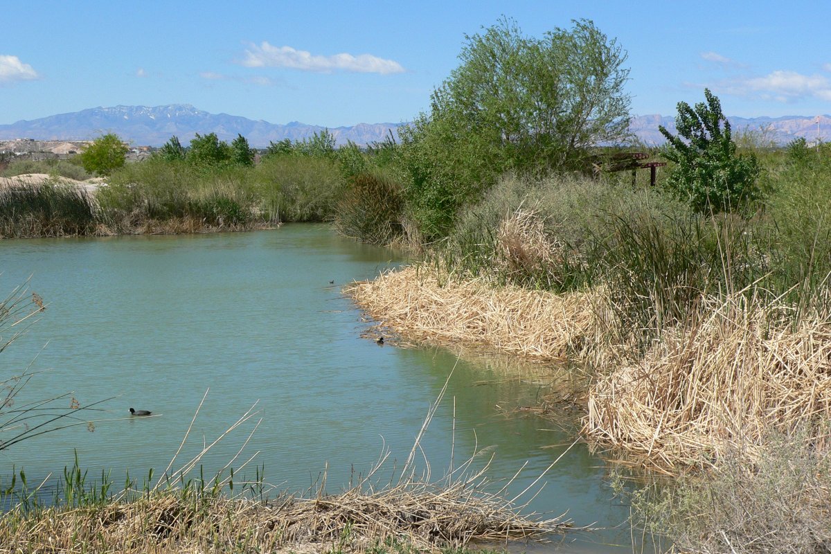 ClarkCountyNV's tweet photo. #ClarkCounty has nominated 6 projects for funding from money from the latest round of SNPLMA (So. Nevada Public Lands Management Act) sales. Share your input on the proposals at blm_nv_snplma_comments@blm.gov.

Previous SNPLMA funded projects include @CCWetlandsPark. #Vegas https://t.co/33zpO0yTZM