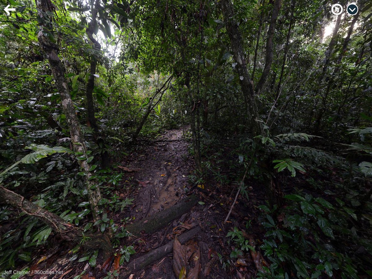 Sarah Cunningham tweet media