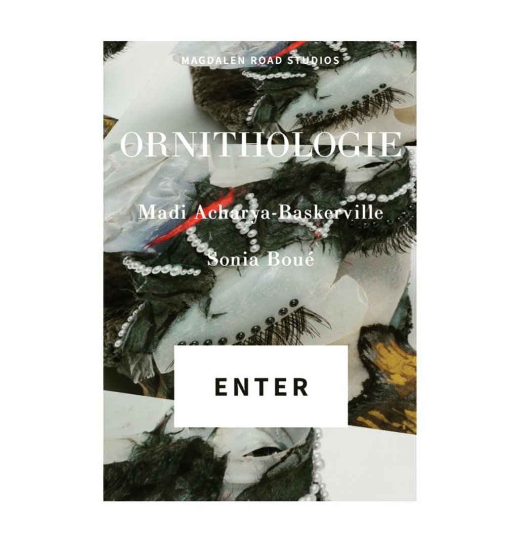 Magdalen Rd Studios (@magdalenarts) on Twitter photo Our new online exhibition #Ornithologie has now gone live!
Take a look here: magdalenroadstudios.com/ornithologie
<a href="/SoniaBoue/">Sonia Boué</a> <a href="/MadiAcharyaBask/">Madi Acharya-Bask</a> <a href="/Photo_Oxford/">Photo Oxford</a> Our new online exhibition #Ornithologie has now gone live!
Take a look here: magdalenroadstudios.com/ornithologie
<a href="/SoniaBoue/">Sonia Boué</a> <a href="/MadiAcharyaBask/">Madi Acharya-Bask</a> <a href="/Photo_Oxford/">Photo Oxford</a>