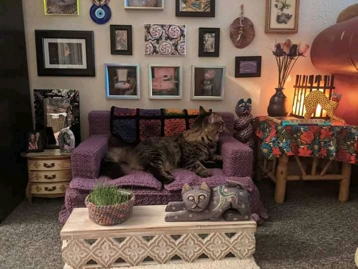 Pets Fun House tweet media