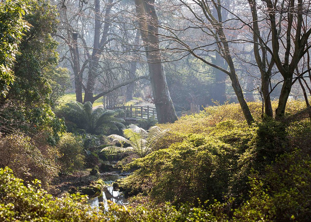 Exbury Gardens is set to reopen to the public from 29 March! Read about the host of new visitor attractions to expect this spring, alongside the dazzling displays of camellia, rhododendron and azalea.   theenglishgarden.co.uk/gardens/exbury…

#garden #gardens #gardening