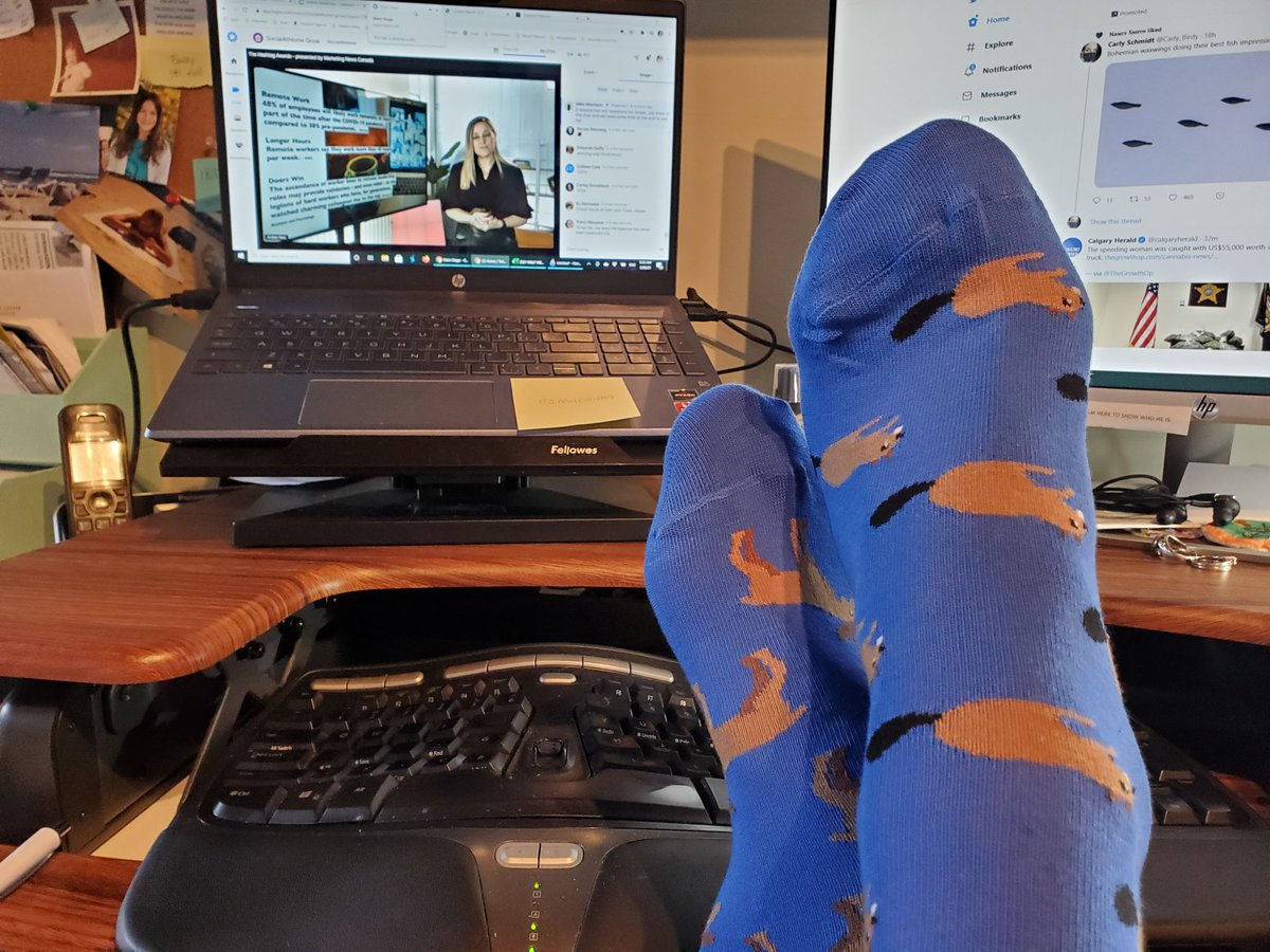 Virtual conference setup with cozy toes gifted by <a href="/FridaySocks/">Friday Socks</a>. Thanks #socialathome for a great 2 days.