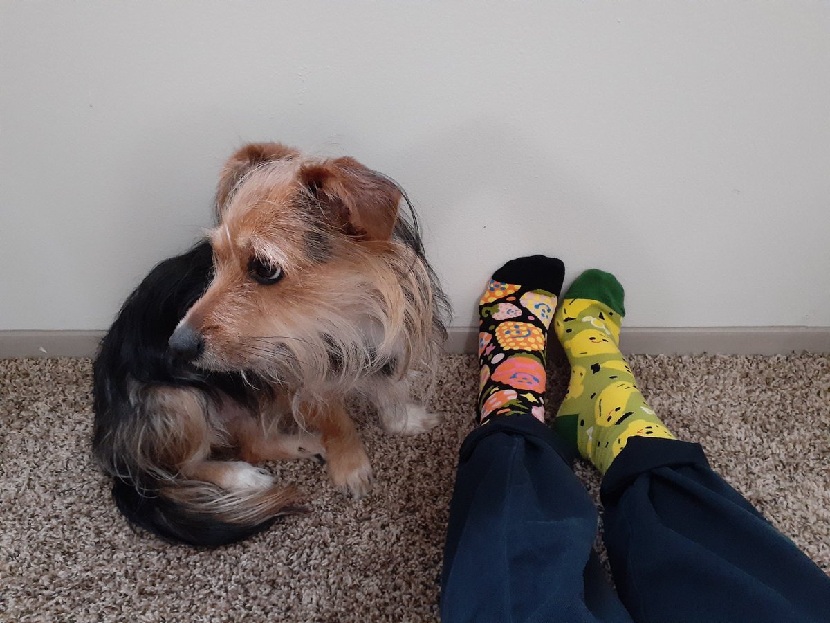 pissbouncer's tweet image. &quot;are you wearing the-&quot;

the @DFTBArecords #AwesomeSocksClub&apos;s January &amp;amp; February socks? yeah, i am