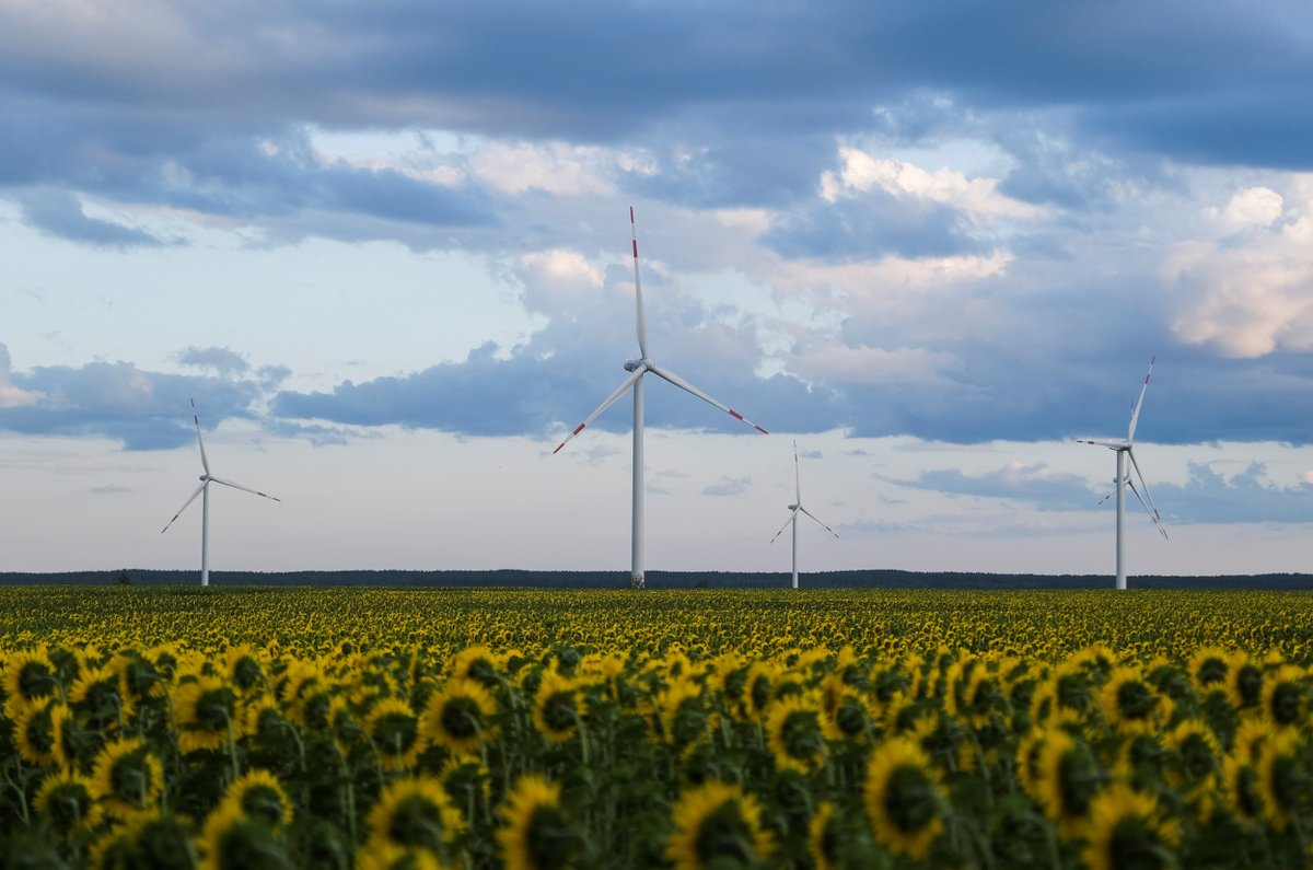 ChrisCHOURI's tweet photo. To support #ClimateChange, governments must introduce sustainable trade policies that enable a swift transition to net-zero emissions. Here are 4 ways to improve and change trade rules to turn them into a driver of sustainable innovation 🌱 https://t.co/nqCdV1u07Z https://t.co/cLnp9DeCKW