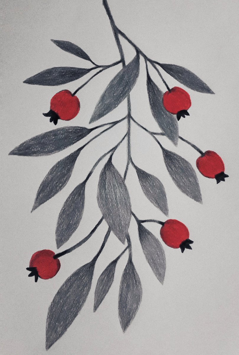 gulcangemec's tweet photo. #pencilsart #metalicpencils #rosehip #flowers #pencildrawing #hobby #hobbycorner #drawing 🌿🌸 https://t.co/GNeCVVyO7P