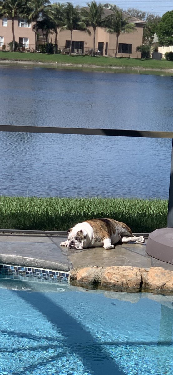 AnglerMasked's tweet image. Sometimes I just wonder...