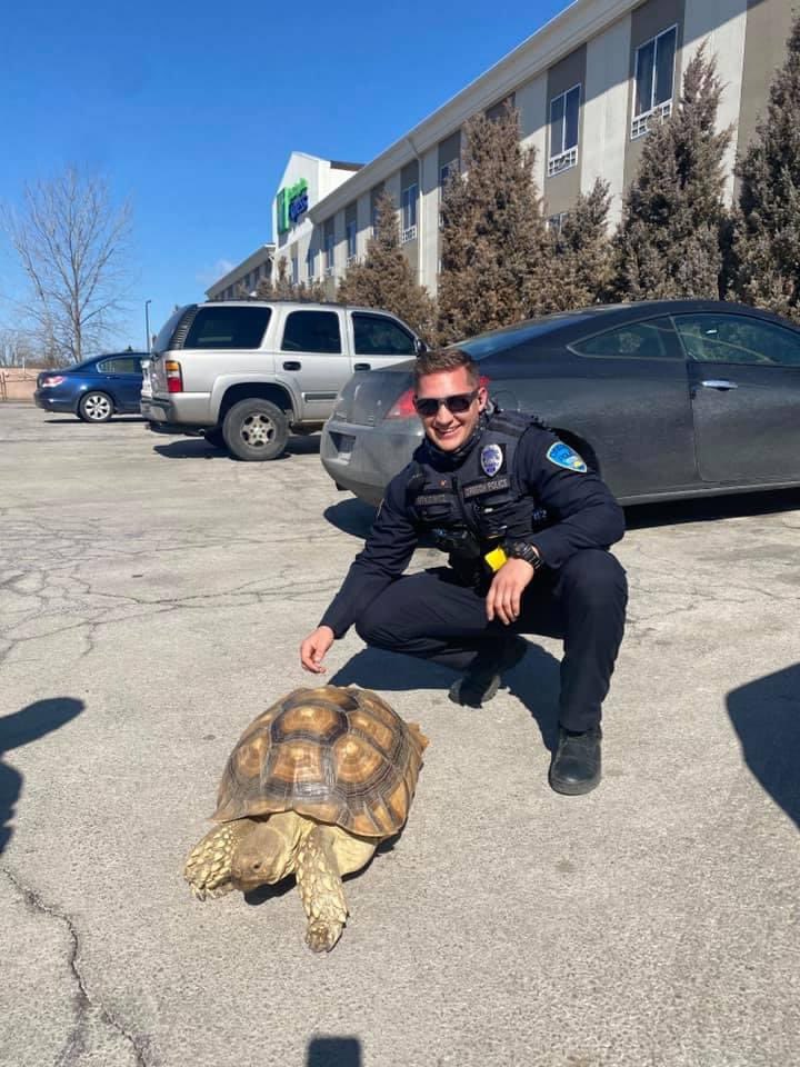 mckenzie13abc's tweet photo. Oregon Police responded to a call Friday of turtle in the parking lot and this is what officers found when they arrived! 

Turns out, the turtle is named Shakespeare and tried to make a break for it this afternoon. According to Oregon PD, Shakespeare is back home now. Whew! 😅 https://t.co/IjptnhtjOn
