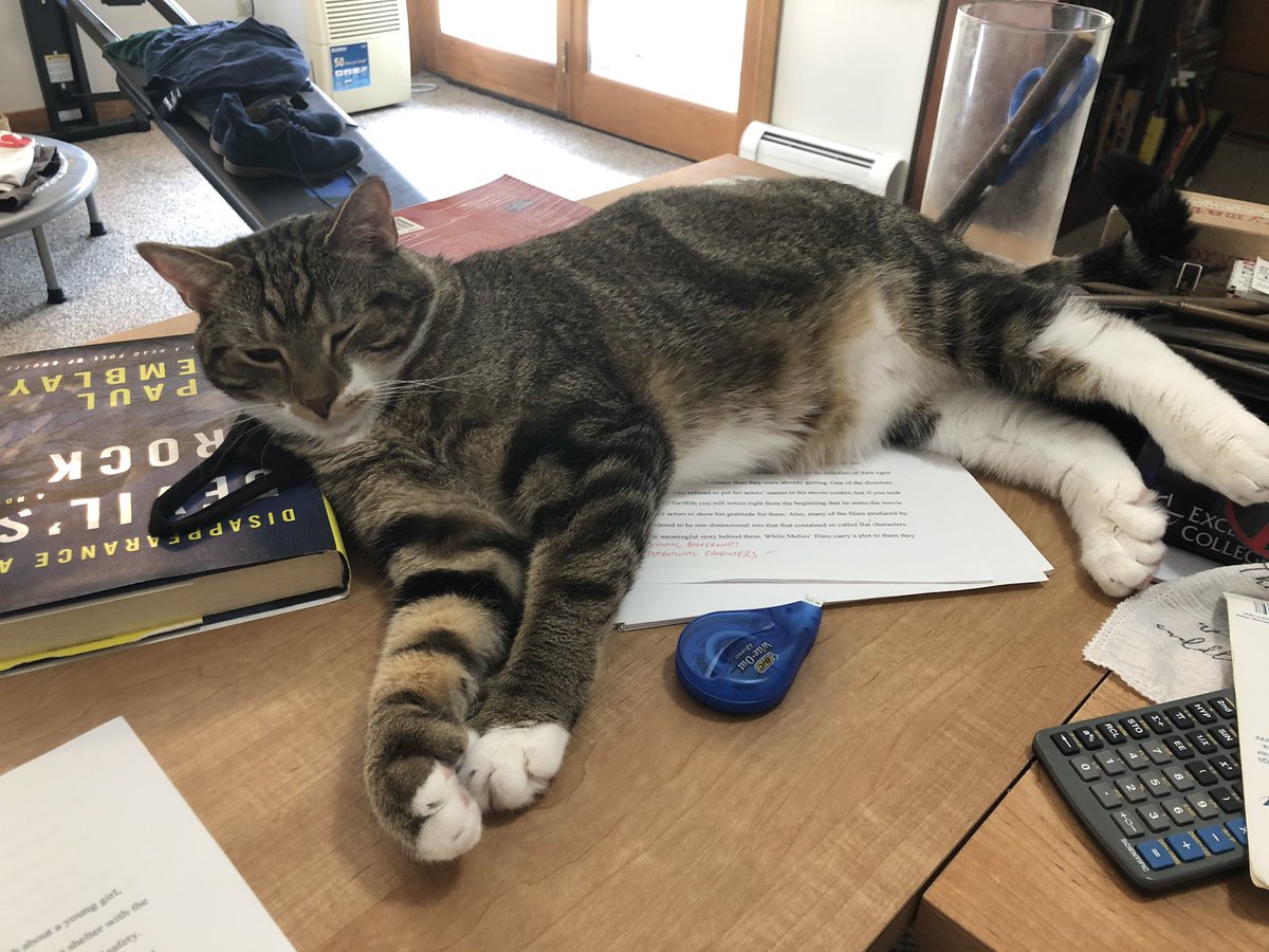 AsherEllis's tweet photo. @BrianKeene Is he a Maine Coon? Always wanted one of those. The cat we got last year was supposed to be a Maine Coon but we couldn’t resist the polydactyl kitty we ended up bringing home: https://t.co/9DzorZbnRq