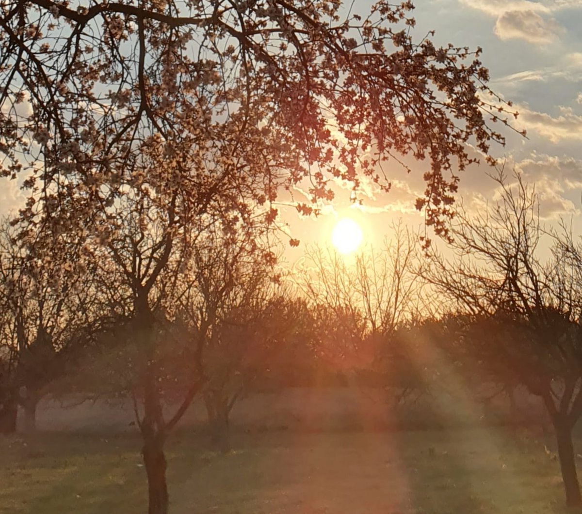 Dilime düştü adın
Kırlangıçlar uçarken
Ve yalınayak yürürken yolları
Varlığın merhem oldu can.. 
Kapanırken kepenkleri şehrin 
Ben düşünü kurardım senli anların
Belkide bir çiçeğe benzetmem ondan
Geceler karakuyu, geceler hain
Ellerimde kırık aspirin
Ve hâlâ soğuk sen yokken
Cann