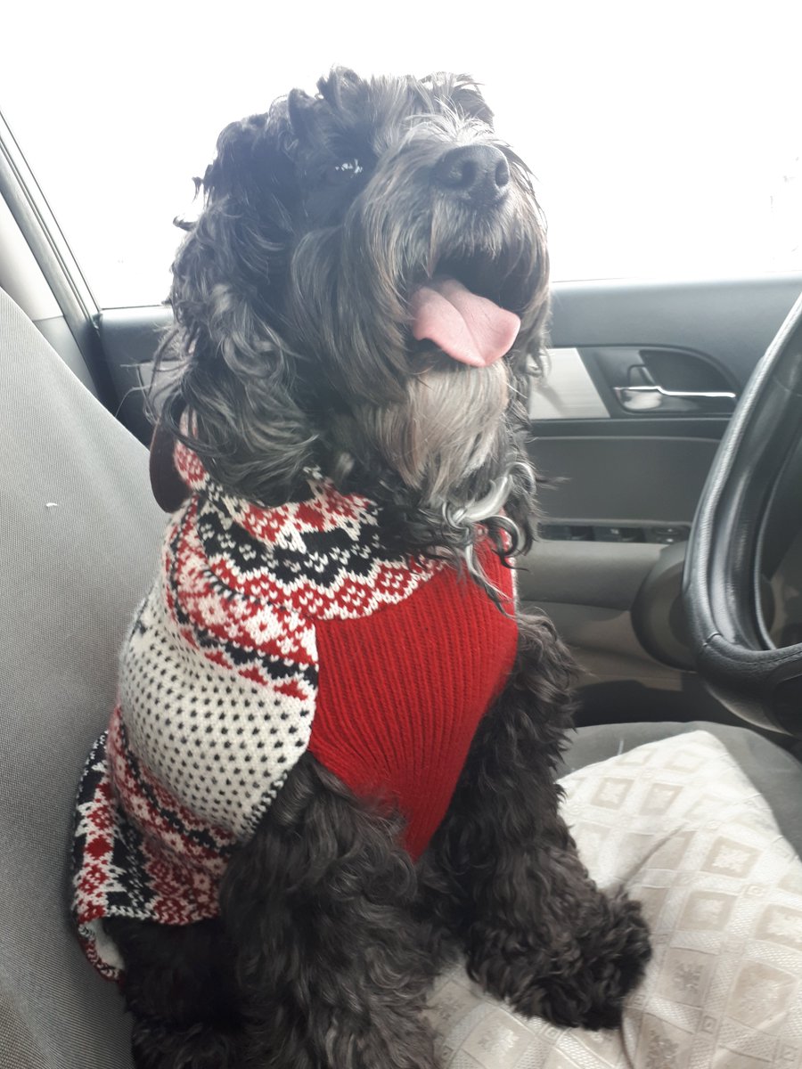 GeshiniP's tweet photo. Pets really do make our lives better! This study explained how owning a pet resulted in lower blood pressure levels and heart rate in owners! Attached below is a picture of my furry friend Brandy! #BIOM4180 https://t.co/ycouHBPjNK https://t.co/w2WAc7DPCX