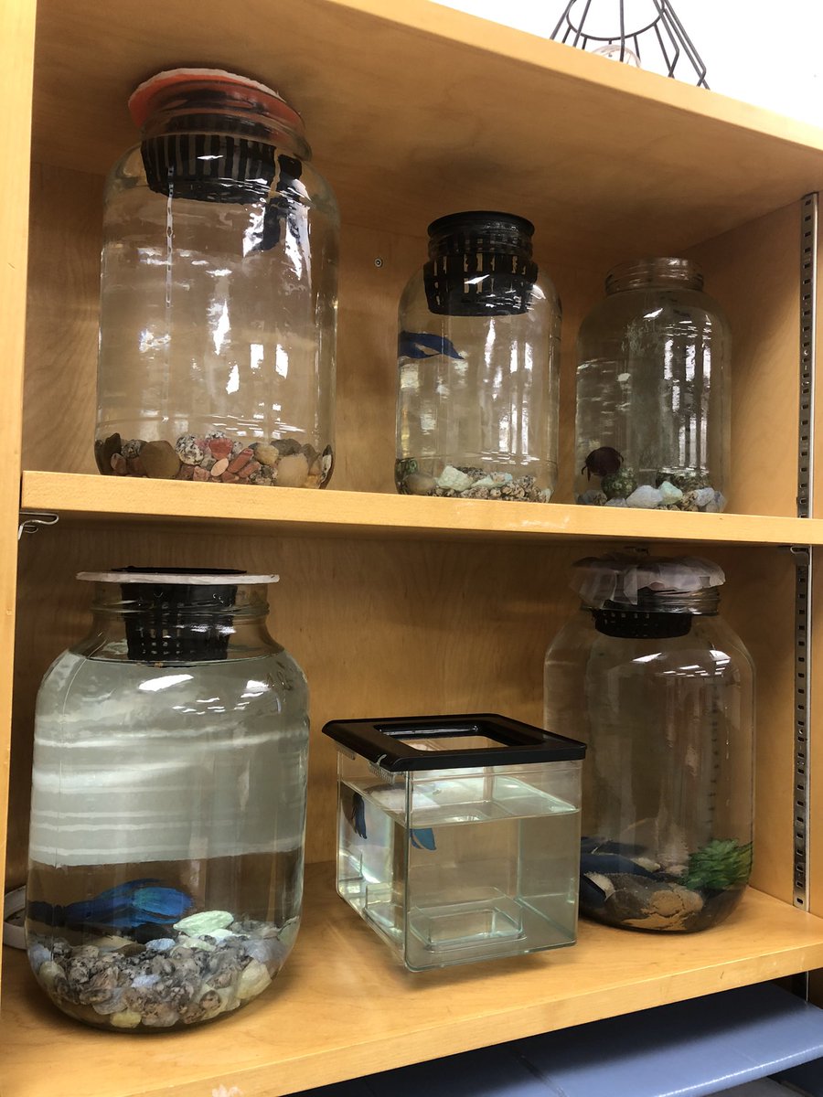 Sara Kloot tweet media