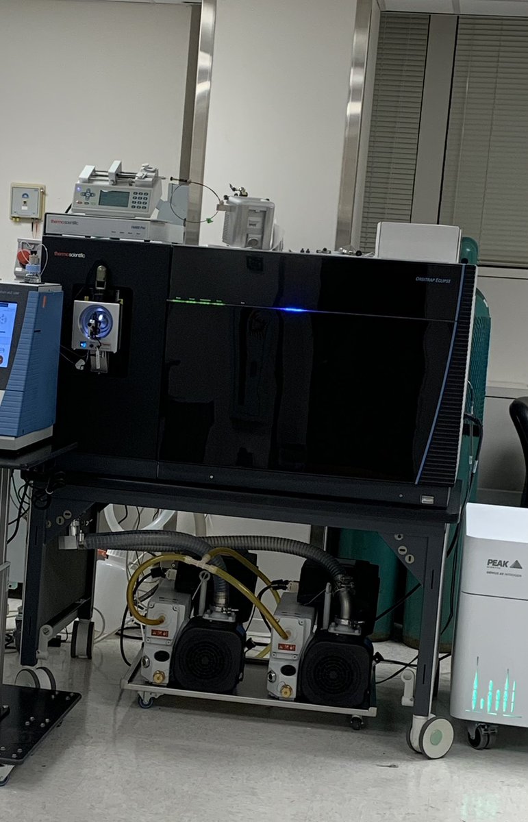 New MS who dis? #eclipse #newbaby #morescienceequalshappyboss