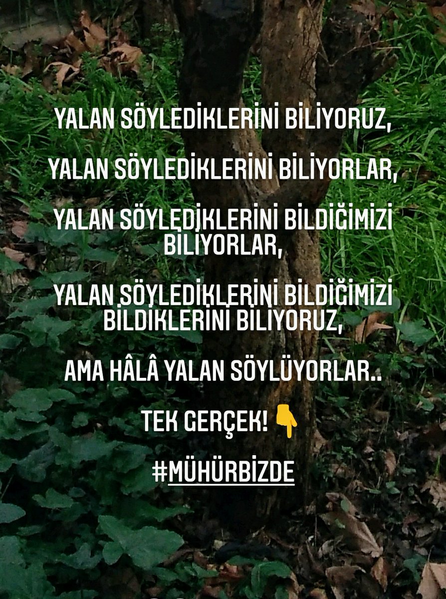 Tweet media one