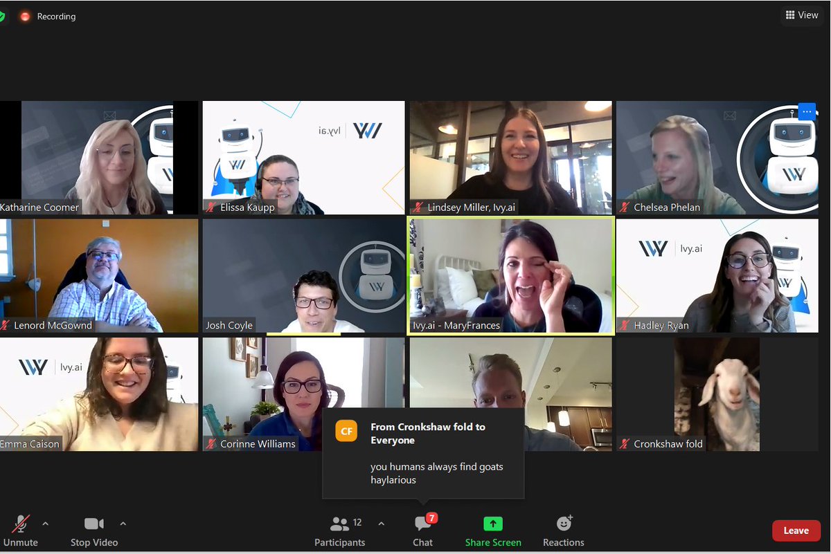 ivychatbot's tweet photo. Ivy had a surprise guest at today's Ops Meeting. While the ideas she presented weren't baaad, this goat definitely caught our team by surprise! #GoatsOnZoom Thanks for joining, @CronkshawFold! https://t.co/Hoo01v2l9K