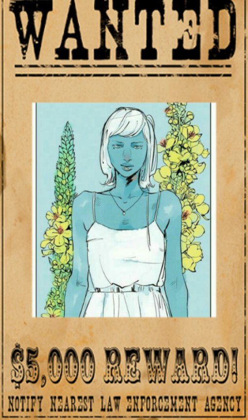 Rol De Cds tweet media