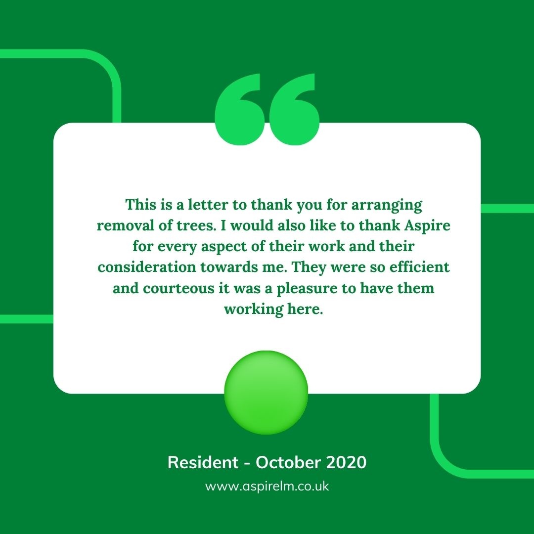 AspireLM's tweet photo. We love to receive such positive feedback from our customers💚 

If you want to find out more about what our customers think make sure you visit the review section of our website 👇 

https://t.co/u2Ay6QeEoq https://t.co/OziUZhaba9