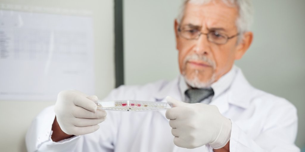 WakoLatin's tweet photo. ¡No deje pasar la promoción que tenemos en nuestro producto Phosphorylated Tau T181 ELISA kit Wako! #ELISAKit #reactivos Descubra la oferta aquí: https://t.co/xc3XxtUnZX https://t.co/EDiuEWl4BC