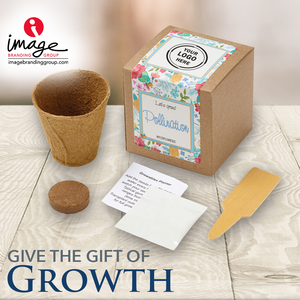imagebrandgroup's tweet photo. Looking for a meaningful gift for real estate clients? Help new homeowners start a garden with this wildflower growing kit! Includes seeds and an eco-friendly, biodegradable planter. Reach out today to plan your client gifts. 🌼

#ImageBrandingGroup #PrintedFaith https://t.co/qF5TFCwq20