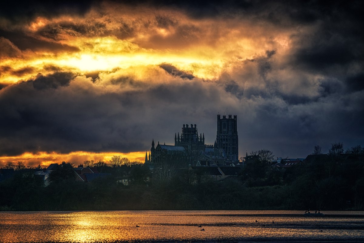 James Billings tweet media