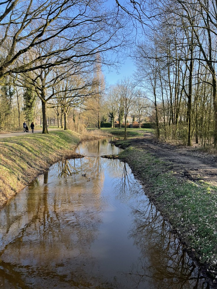 MartijnKegler's tweet photo. Met regelmaat maak ik op deze plek een foto van de #Bijloop. Aan het eind van het jaar een verslag. Van waterstanden, de seizoenen, het weer. Opbrengst van mijn dagelijkse ommetjes! https://t.co/KteBWid1Mc