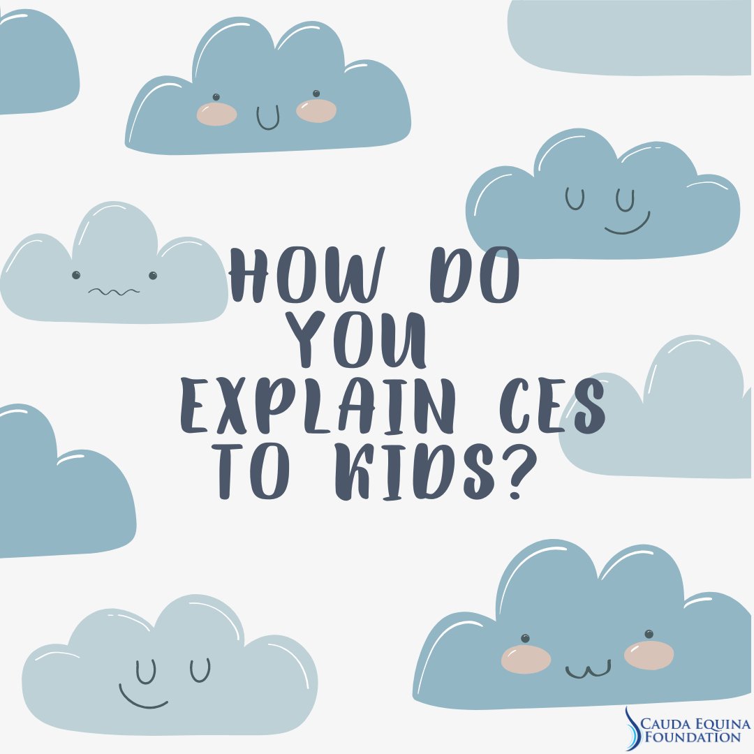 Have you found a way to explain your CES diagnosis or new physical limitations to the kids in your life? 👶 What have you found is the best way to describe it in words they understand? 👧

#CaudaEquinaSyndrome #CaudaEquinaFoundation #CES #CESWarrior #CEF