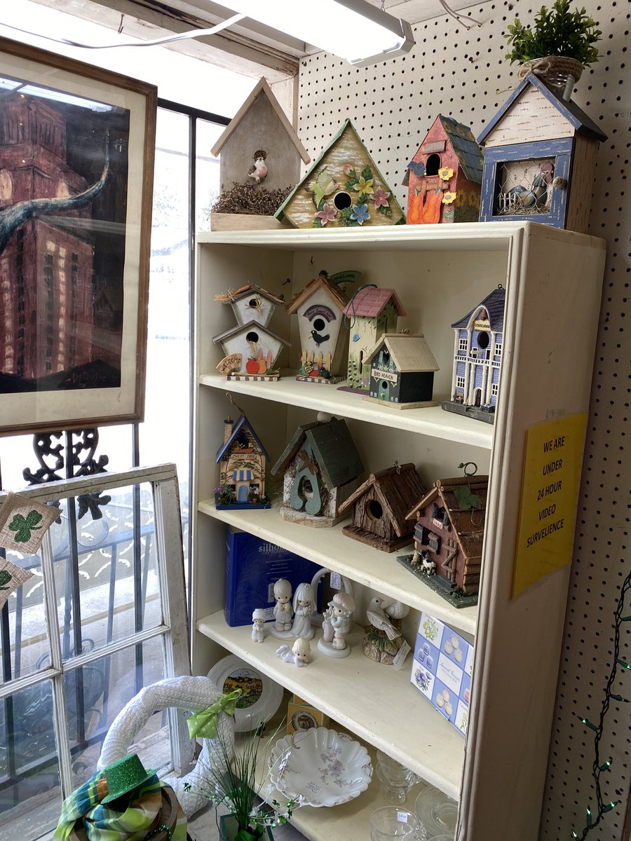 Connections_18's tweet photo. Loving the colors this bird house collection brought to our window unit!💛 #tisd @TomballISD @TomballTransit1 #life18 https://t.co/69hk7seisl