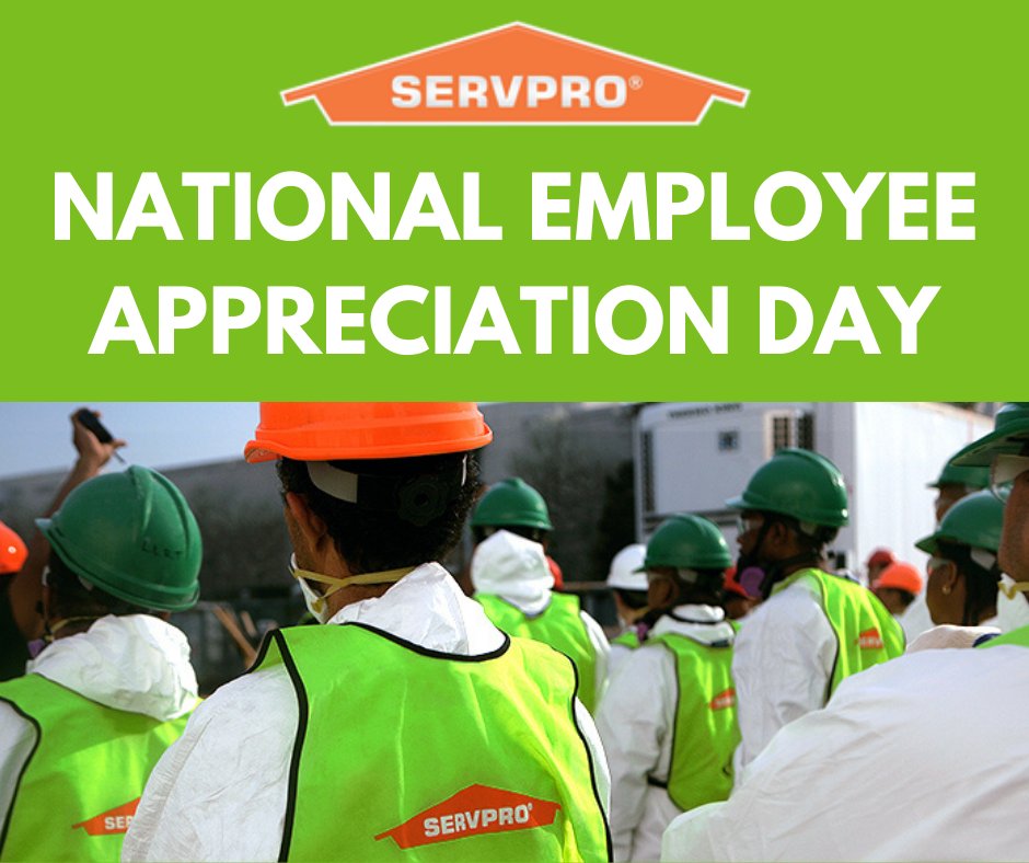 Happy National Employee Appreciation Day!

From the Production Technicians to our staff in the office, everyone on the team works tremendously hard to best serve the Greensboro community. 

#nationalemployeeappreciationday #greensboro #gso