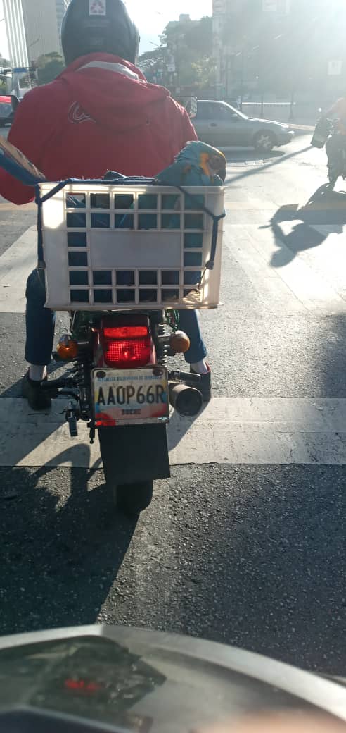 #URGENTE <a href="/TarekWiliamSaab/">Tarek William Saab</a> Este tipo se esta robando a las guacamayas libres d caracas miren la foto como la cazo y amarro con ligas la cual no puede librarse ayuden a difundir para Cazar a este Desgraciado y pague con cárcel <a href="/NicolasMaduro/">Nicolás Maduro</a> <a href="/Plataformanimal/">ProtecciónAnimalADH</a> <a href="/drodriven2/">Delcy Rodríguez</a> #Guacamayas