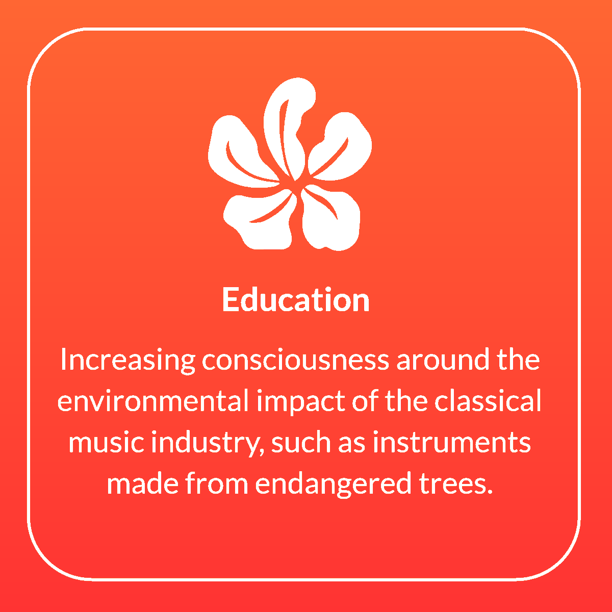 treesofmusic's tweet photo. Trees of Music is driven by 3 key principles:  
Engagement, Education &amp; Action.

View our strategies below to learn how we are increasing #sustainability in the #classicalmusic industry!

#Treesofmusic #violin #violinbow #environment #trees #Brazil #reforestation #cello #Donate https://t.co/b6axy3o4YS