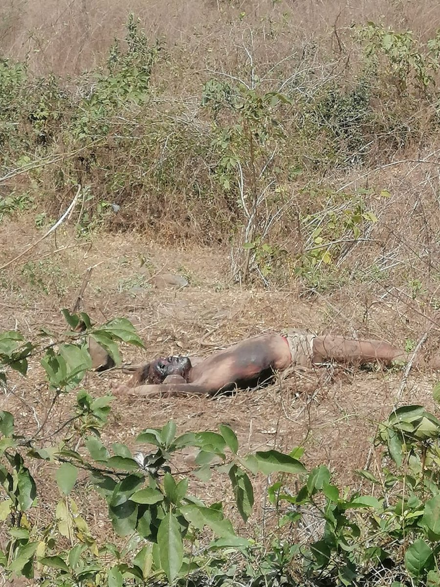 Asesinato de Trans en Nicaragua 
facebook.com/femitrans.lac/…
Asesinato de Lala  #plataformatrans #Nicaragua #trans #gobiernonicaragua #cidh #acnur #onusida #onuderechoshumanos