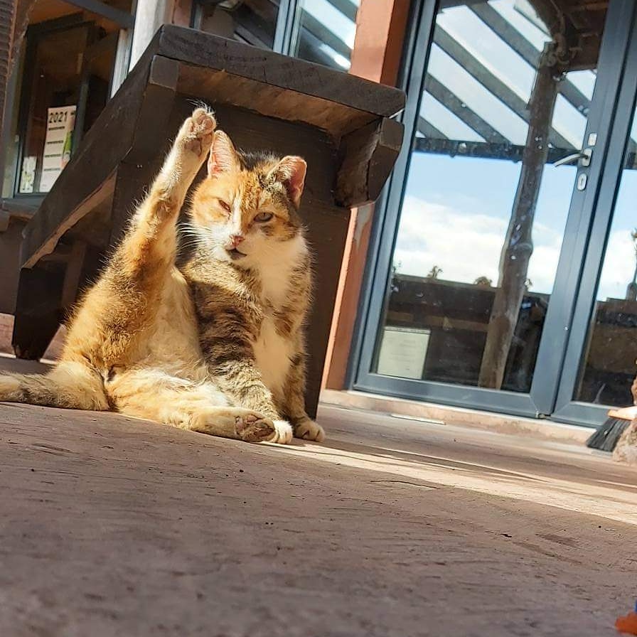 Ramos (@amrpar) on Twitter photo 