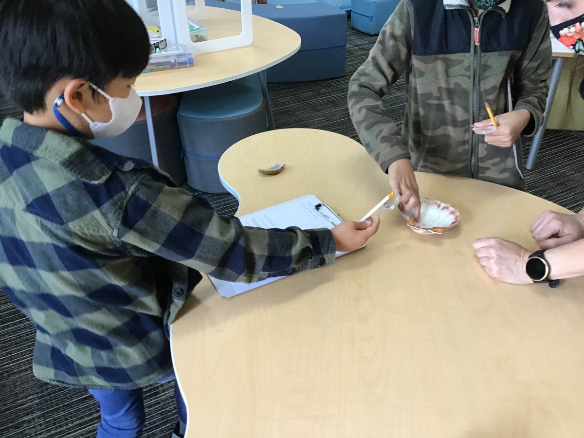 KMinarik1's tweet photo. "Snorkeling" led @OASharks and @HTS_Dolphins to make exciting discoveries and to ask many questions.  "This sea star is bumpy and sharp.  These two shells match!  Where do shells come from?  Why do some shells have holes?  Why is there a sponge in the ocean?"  @DMSEF8 #DMUSD https://t.co/gQ0xPTO6iy