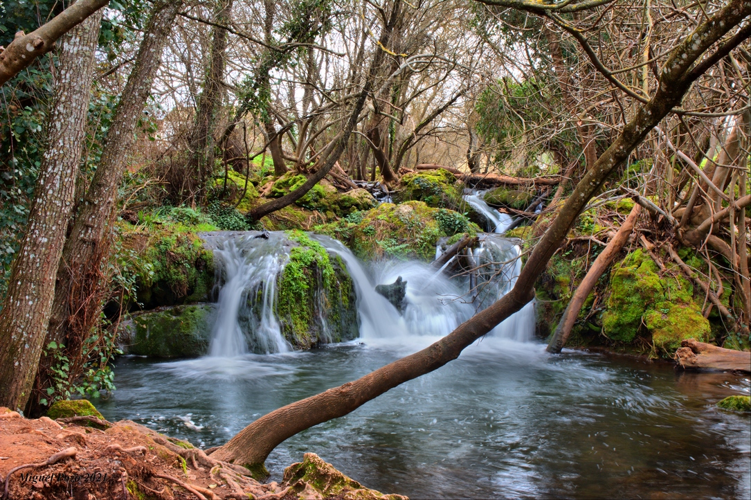 #SierraNorte #Sevilla #cascadas #RiveradelHueznar <a href="/PicPoet/">The Picture Poet</a> <a href="/PhotographyGang/">Photography Geek</a> <a href="/SalPorSevilla/">Sal Por Sevilla®</a> <a href="/enfo_k2/">Enfo-k2</a> <a href="/FotosAndalucia/">Andalucía en fotos</a> <a href="/fotosdetodo/">Fotos de todo</a> <a href="/diariodefoto/">Diario de una Foto</a> <a href="/SevillaInfinita/">SevillaInfinita</a> <a href="/AndaluciaenFoto/">Andalucía En Fotos</a> <a href="/sonrisadeabril/">La Sonrisa de Abril</a> <a href="/sonriseros/">Sonriseros</a> <a href="/SonrisaFansClub/">CLUB DE FANS SONRISA</a>