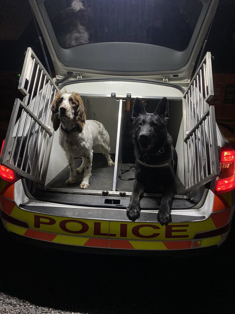 HalesowenWMP's tweet photo. PDs Binkey & Wes have been busy today! Stolen vehicles, vehicle stops, alarm activations and being on hand to support officers at a number of disorders around Dudley and Wollescote. Top work! SP #earnedtheirdinner #wmpdogs @DudleyInspector https://t.co/rzBIguUYoA