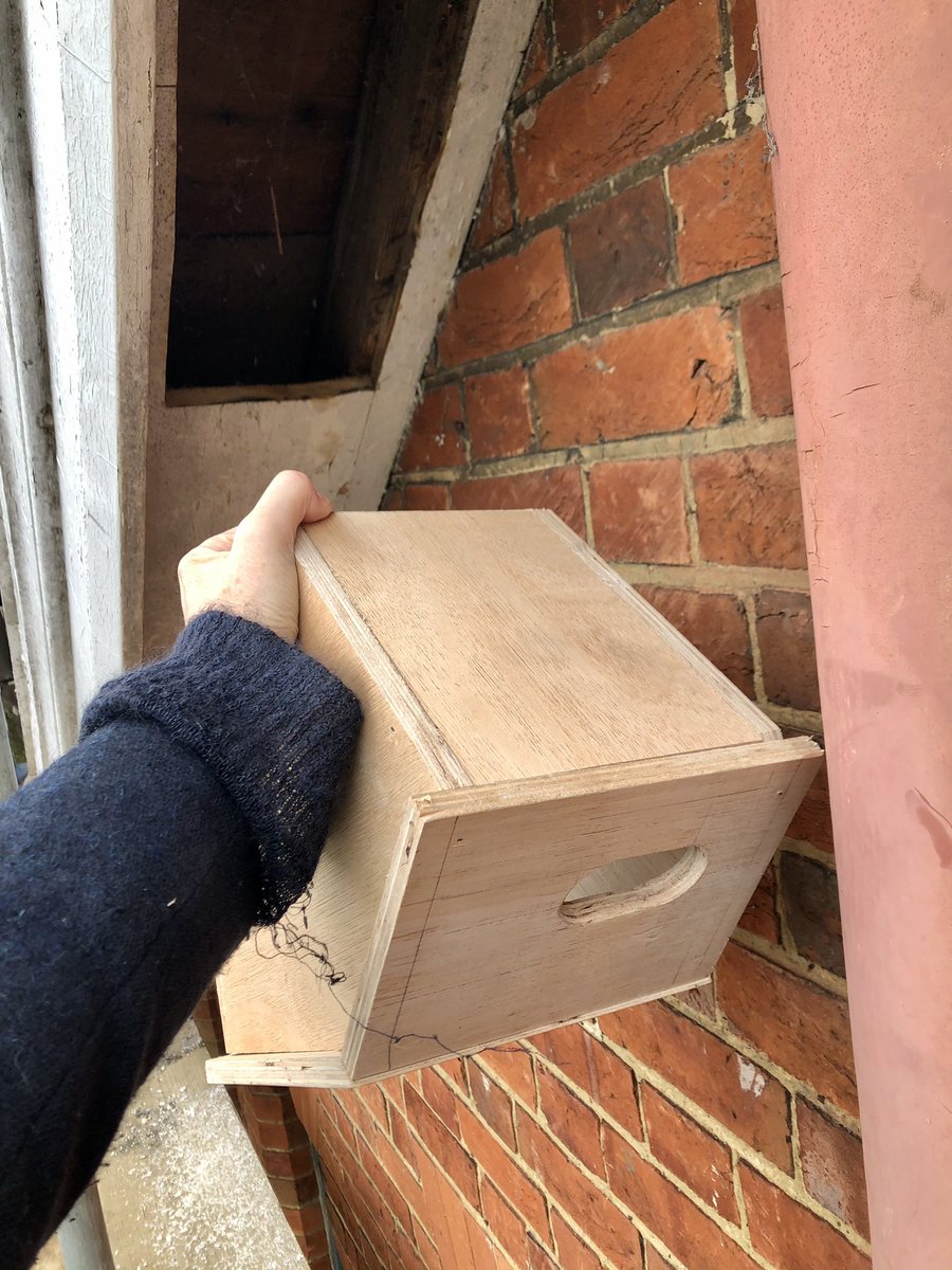 lisashellarchs's tweet photo. And at the smaller end of commissions . . . today approved a sample custom swift nest box for multiple eaves installation in #Horsham just in time for the magical birds return from Africa in May @SaveourSwifts https://t.co/bZRH9sF892
