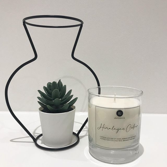 • Himalayan Cedar Candle •

Our signature candles are very elegant and perfect decor for your home.

#soywaxcandles #handpouredcandles #handmade #signaturescent #gifts #rebeccajamesonline #mothersday #homedecor #homeinspo #homefragrance #candlelover #candlesofinstagram