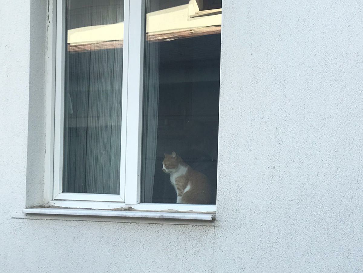 Gözleri uzaklara dalan birinin yakınlarda olmayan bir hikayesi vardır