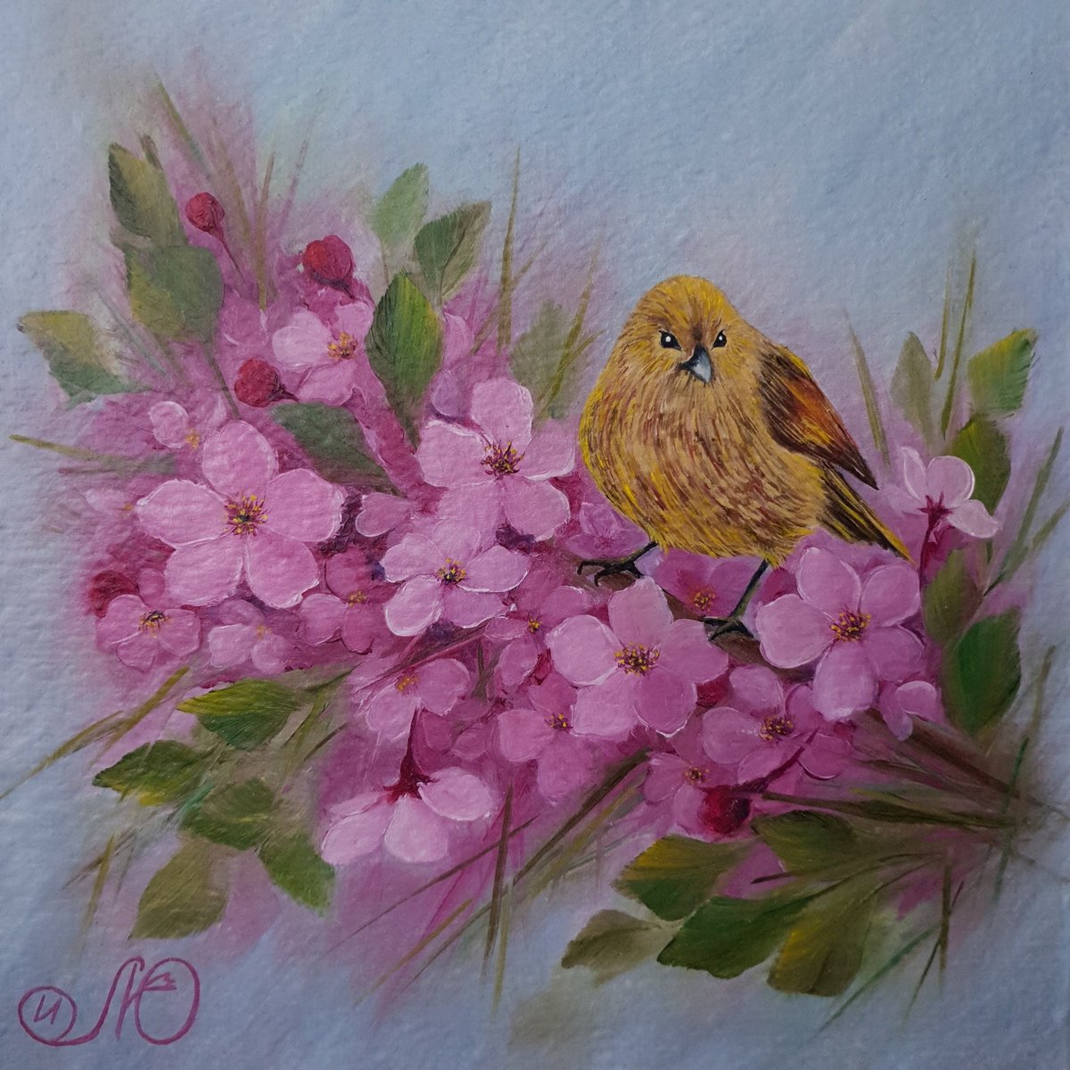 u_illa's tweet photo. Excited to share the latest addition to my #etsy shop: Sparrow painting spring bird on a flowering branch, original artwork, small orange bird animal wildlife wall art. 10" by 10" (24x25cm.) https://t.co/U90EaHqFkb
#sparrowpainting
#springbird
#floweringbranch
#oilart https://t.co/jlZbQiT79z