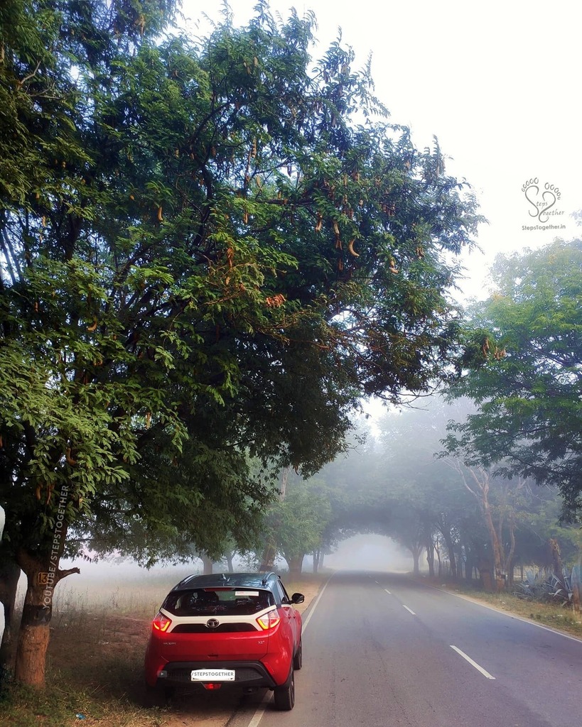 Foggy morning❤️

#nature #naturephotography #incredibleindia #indiatravel #indiatourism #india #travel #wander #wanderlust #vacation #vacationmode #greenery #foggymorning #morningmotivation #indiatravelgram #morning #naturelover #instaindia #instatravel … instagr.am/p/CMD3hL9ngfM/