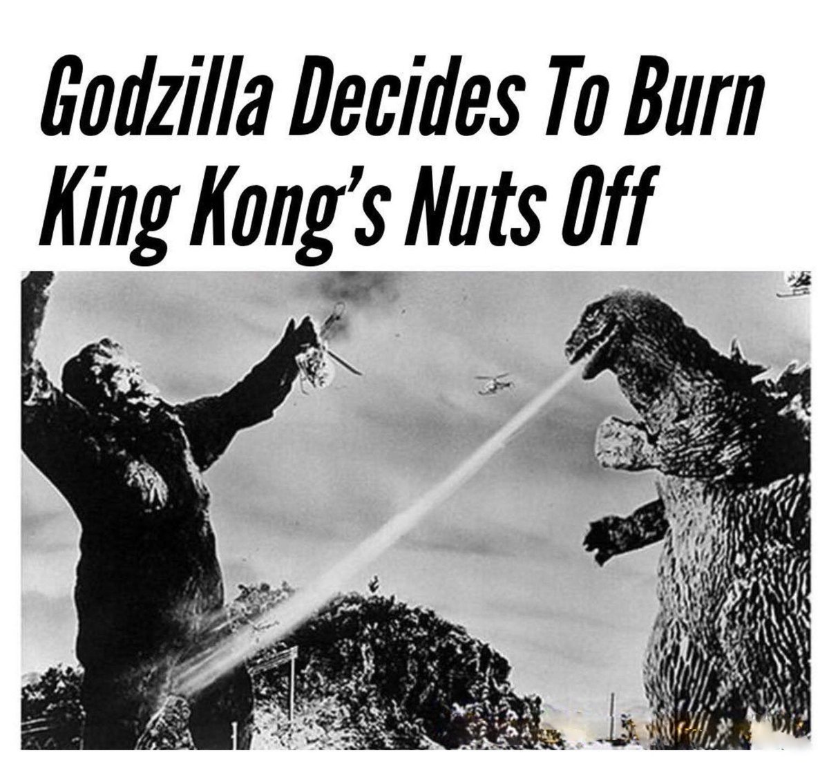 LiveDerekChu's tweet photo. #GodzillaNeverSaid how do roasted nuts feel? https://t.co/rqYywYLFxj