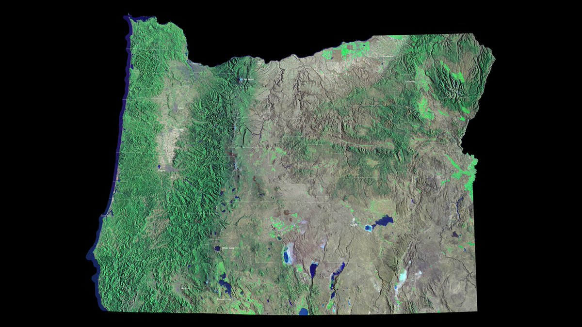 pedervnelson's tweet photo. Looking forward to another Saturday at the annual Oregon GeoFest! #CGEO21. I am part of 3 live sessions, including one of my favorite topics 🛰️🌲🌳🌎"Teaching about #Oregon through Earth Observations" &amp; "Story of Your Place: data collection" #OregonView @AmericaView @GLOBEProgram https://t.co/ZUFKQS9yWB